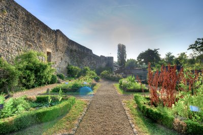 Jardin du moyenage_4758063135_l.jpg